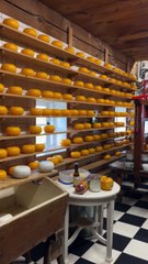 L’ARCHITECTURE des fermes fromageres