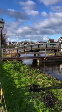 PAYSAGE IDYLLIQUE à Zaandam Schans
