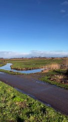 Découvrez les Polders Hollandais : Les Icônes de la Gestion de l'Eau 🇳🇱