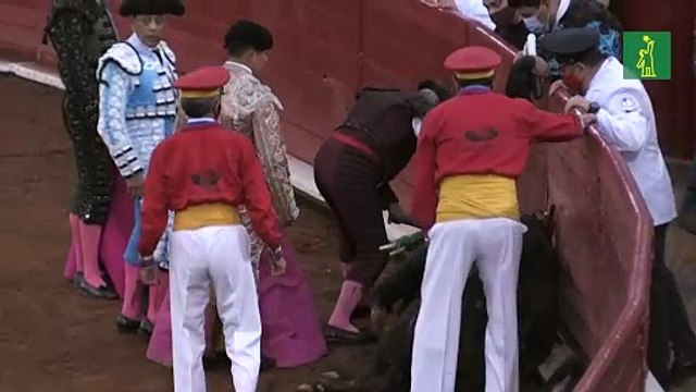 Juez suspende indefinidamente las corridas de toros en mayor plaza de México