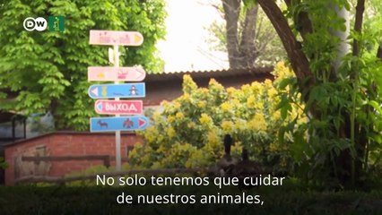 Zoológico es ahora refugio de animales en Ucrania