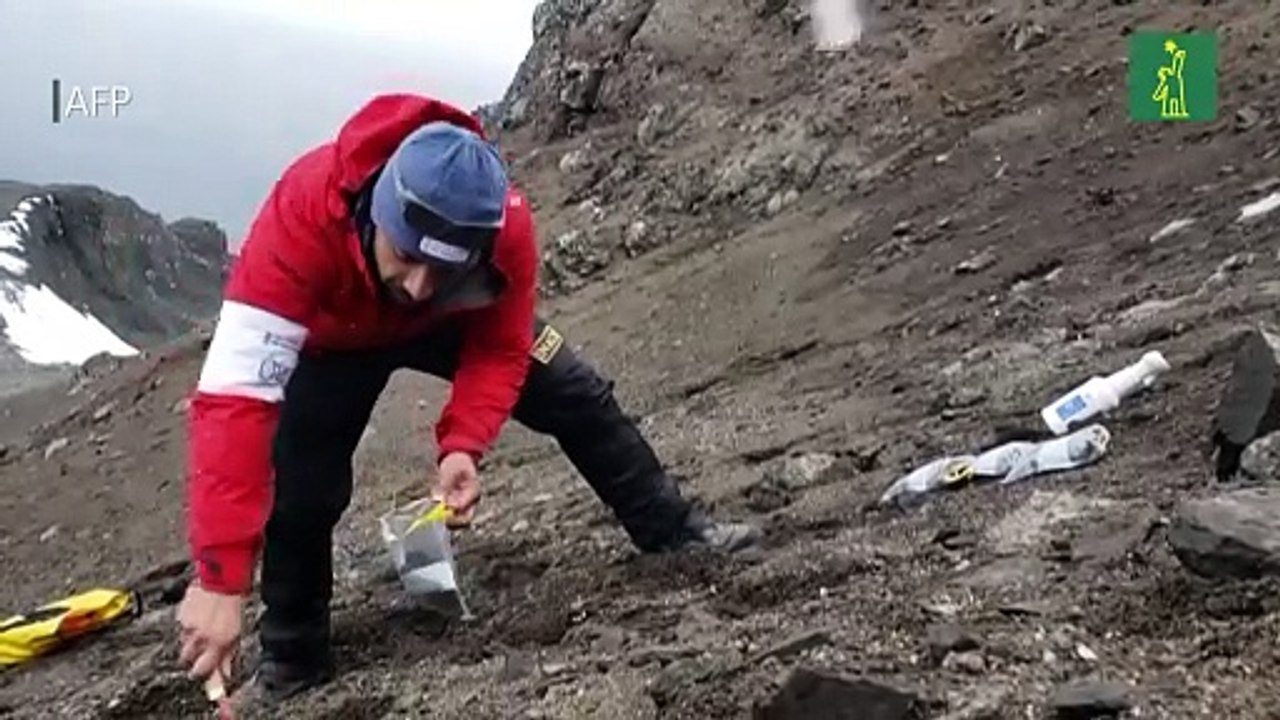 Científicos chilenos identifican desconocidas bacterias híper resistentes en la Antártida