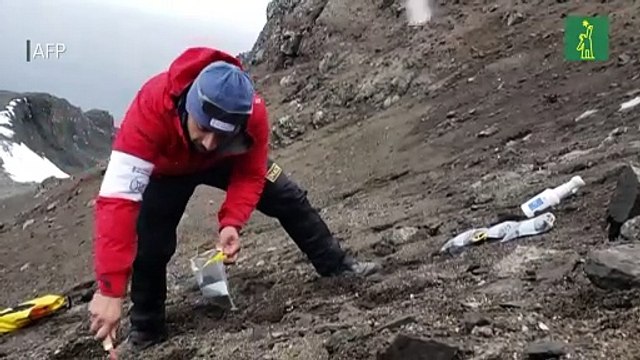 Científicos chilenos identifican desconocidas bacterias híper resistentes en la Antártida