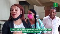 Cosecheros piden profundizar investigación sobre robos en fincas de tabaco de Santiago