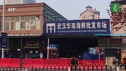 Dos nuevos estudios apuntan a un origen natural del covid en Wuhan