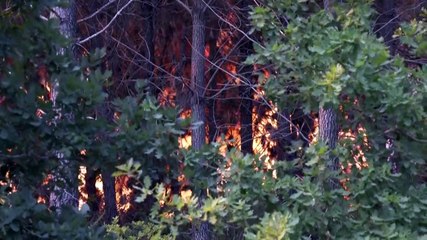 Europa occidental lucha contra incendios y se alista para temperaturas récord