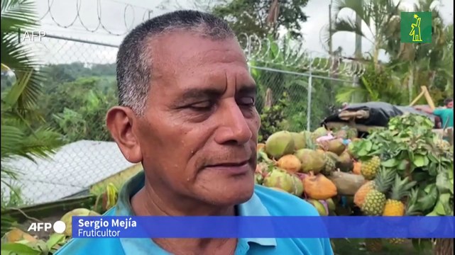 Salvadoreños celebran cosecha de frutas y rinden tributo a la Cruz