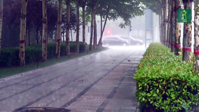 Las inundaciones dejan miles de afectados en el este y centro de China