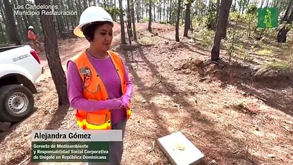 ¿Cómo va la "fiebre del oro" en República Dominicana?