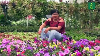 Atacadas con ácido en México, víctimas del sistema