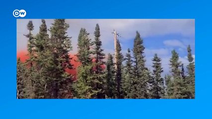 Los incendios forestales asolan Alaska