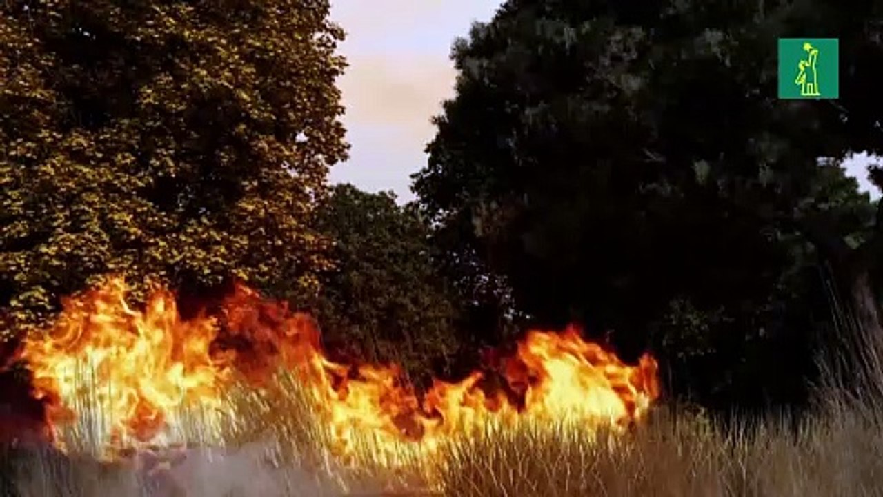 La propagación y riesgos de los incendios forestales