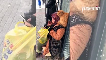İstanbul soğuna dayanamayan kedi kendini teyzenin omzuna attı!