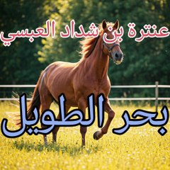 أعاتب دهرا لا يلين لعاتب، عنترة بن شداد العبسي