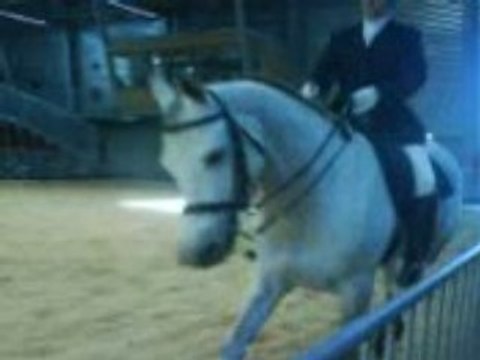 Chevaux de la foire comtoise (3)
