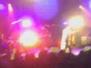 Orange blossom 6 - herbe en zik 2008