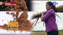 Paano nga ba ginagawa ang asukal mula sa tubo? | Pinas Sarap