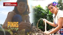 Mga pangunahing pampalasa sa mga putahe, paano nga ba ginagawa? (Full Episode) | Pinas Sarap