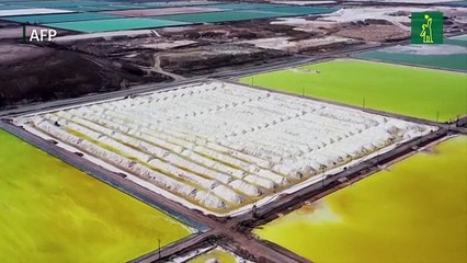 Entre esperanzas y desilusión, la carrera por el litio en América Latina