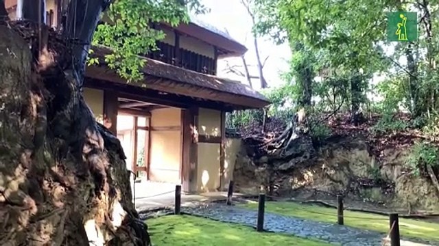 Shojin Ryori, la comida vegana que disfrutan los monjes budistas japoneses