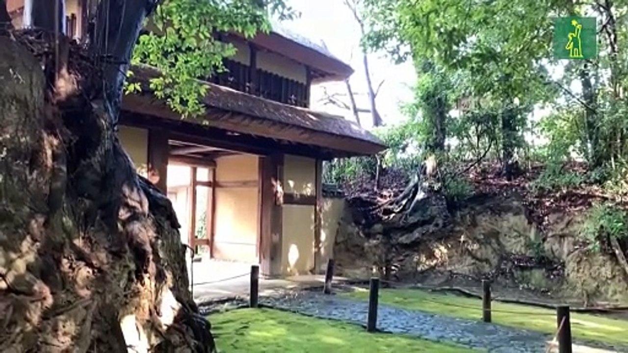 Shojin Ryori, la comida vegana que disfrutan los monjes budistas japoneses