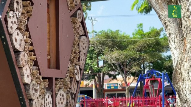 Hoteles para abejas potencian polinización en Costa Rica