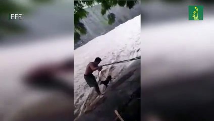 Un boxeador arriesga su vida para salvar a un perro en medio del ciclón Julia