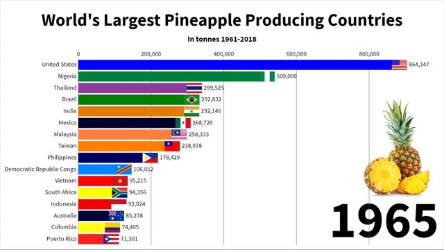 19 - World's Largest Pineapple Producing Countries