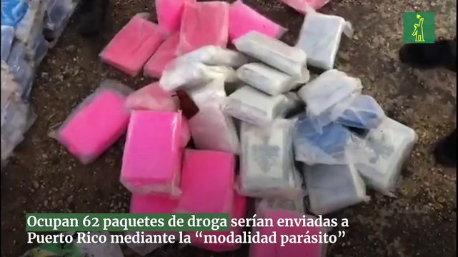 Ocupan 62 paquetes de droga serían enviadas a Puerto Rico mediante la “modalidad parásito”