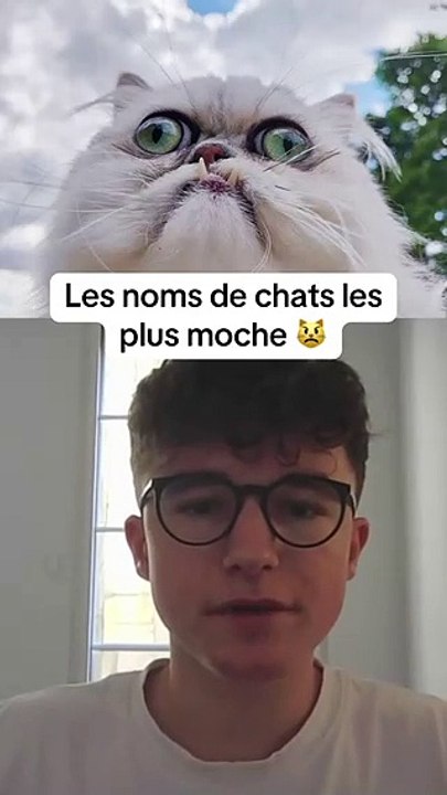 Les prénoms de chat les plus moches 🙀 #prenom #prénom #chat #chats