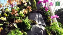 Miles de orquídeas recrean los paisajes tradicionales chinos en Nueva York