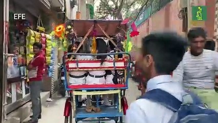 El perro y el hombre, la pelea por las calles de la India