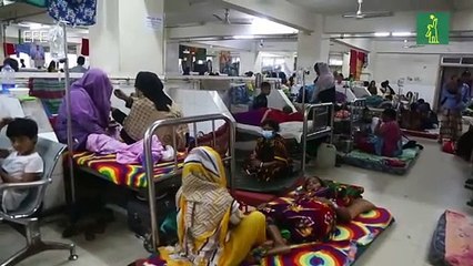 Suben a 182 las muertes por dengue en Bangladesh, récord histórico en un año