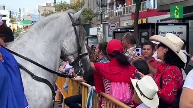 Desfile multitudinario muestra la cultura del caballo en Costa Rica