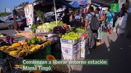 Comienzan a liberar entorno estación Mamá Tingó