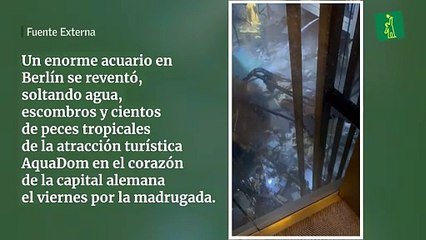 Un enorme acuario en Berlín se reventó, soltando agua, escombros y cientos de peces tropicales de la atracción turística AquaDom en el corazón de la capital alemana el viernes por la madrugada.