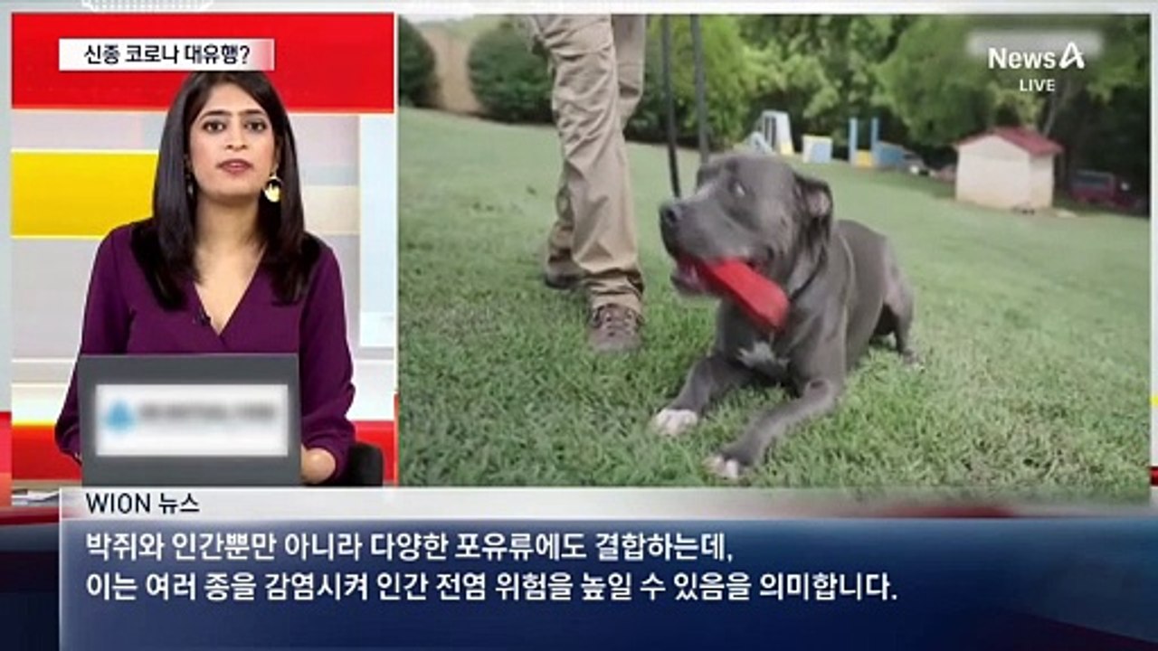 中서 신종 코로나 발견…또 대유행?