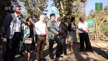 Chile planea restaurar un millón de hectáreas de paisajes naturales para antes de 2030