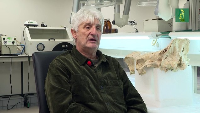 Los neandertales tenían capacidad para atribuir conceptos a los símbolos, según un estudio