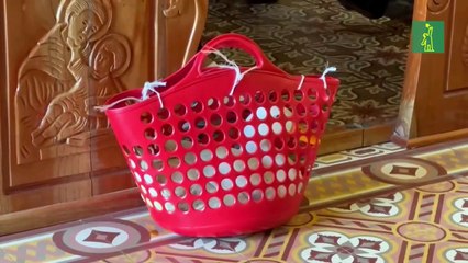 Mascotas reciben bendiciones en el centro de México