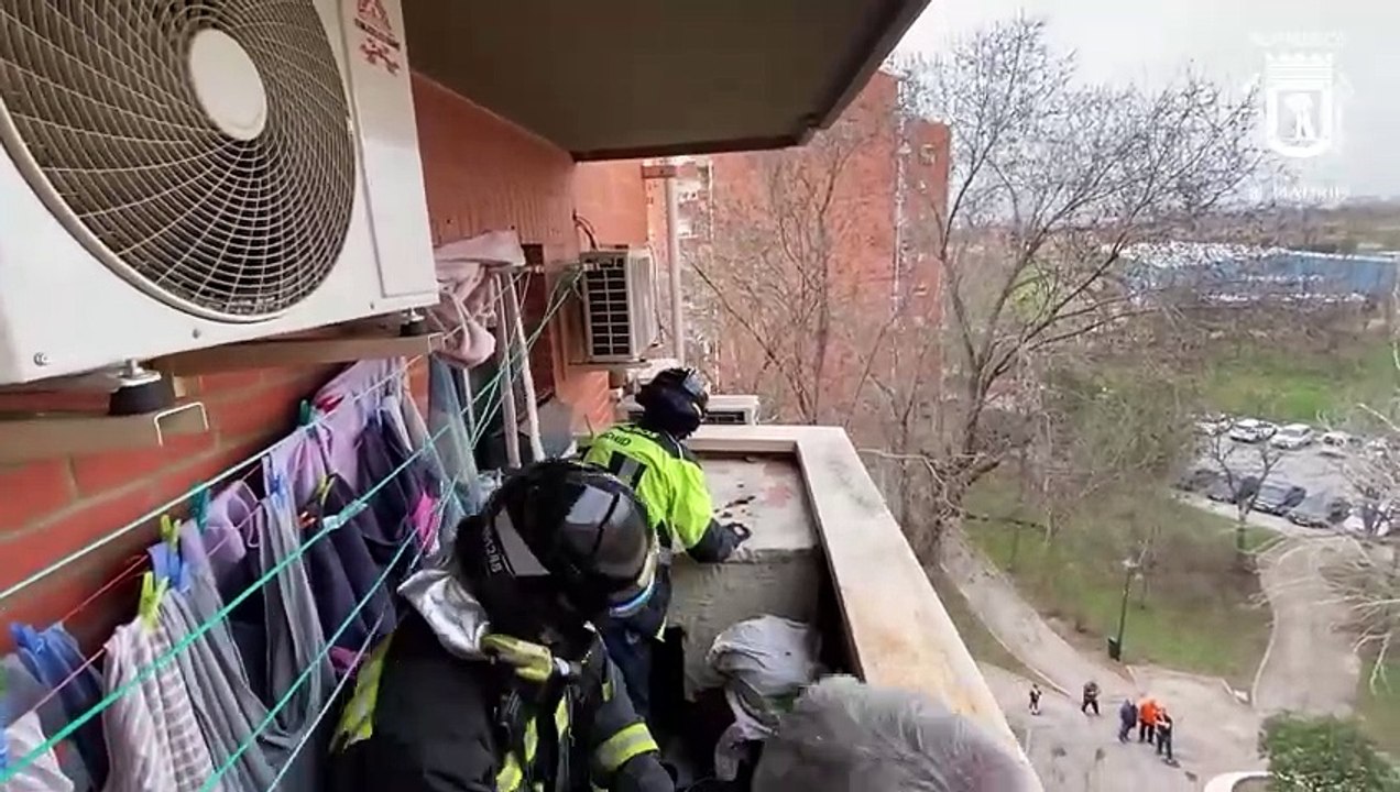 Intervento insolito a Madrid i vigili del fuoco salvano una capra bloccata sul davanzale di una finestra al quinto piano