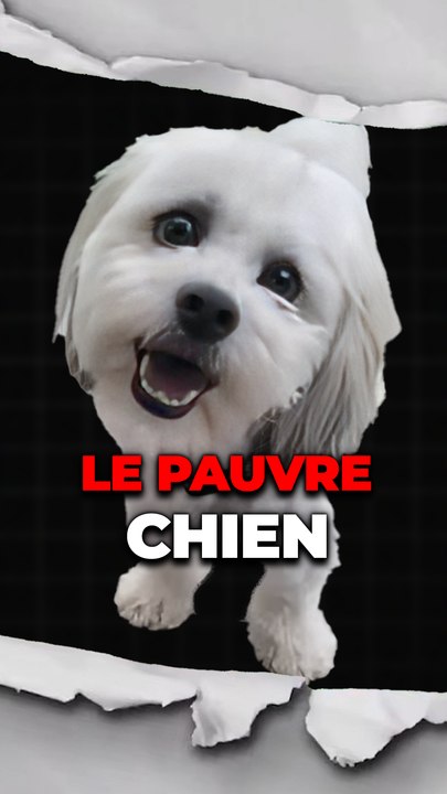 Il ne méritait pas ça...