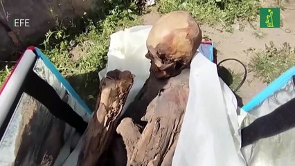 Hallan una momia prehispánica en la mochila de un repartidor en Perú