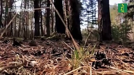 El líder del grupo Wagner anuncia la toma de Bajmut y Ucrania no lo confirma