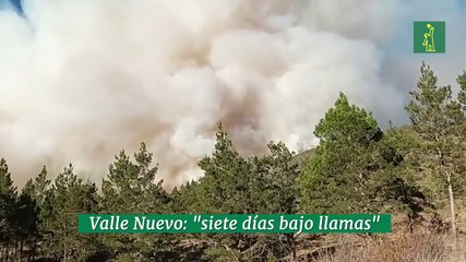 Valle Nuevo: "siete días bajo llamas"