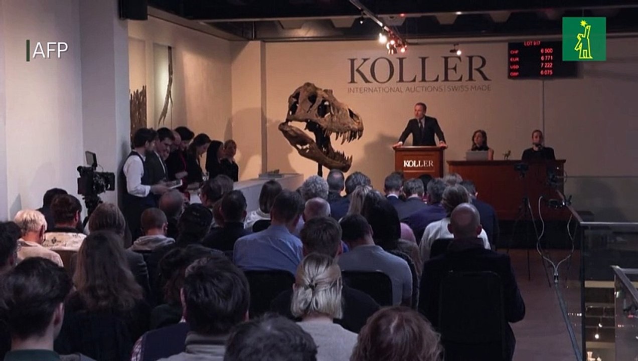Un esqueleto de T-Rex ensamblado se vende en subasta por 5,6 millones de euros