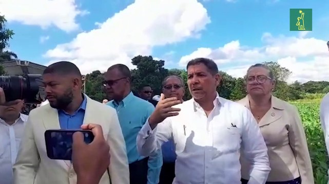 Ministro de Agricultura: “En un tiempo prudente vamos a comer plátanos a excelentes precios”