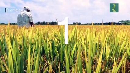 “Ahora el pleito es conmigo”, advierte Abel Martínez al gobierno en defensa del pueblo dominicano