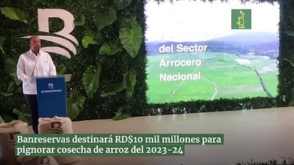 Banreservas destinará RD$10 mil millones para pignorar cosecha de arroz del 2023-24
