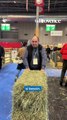 Salon de l’agriculture : que font les animaux après la fermeture des portes ?